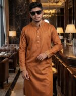 Premium - Brown Color panjabi