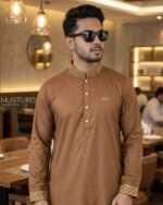 Premium - Brown Color panjabi